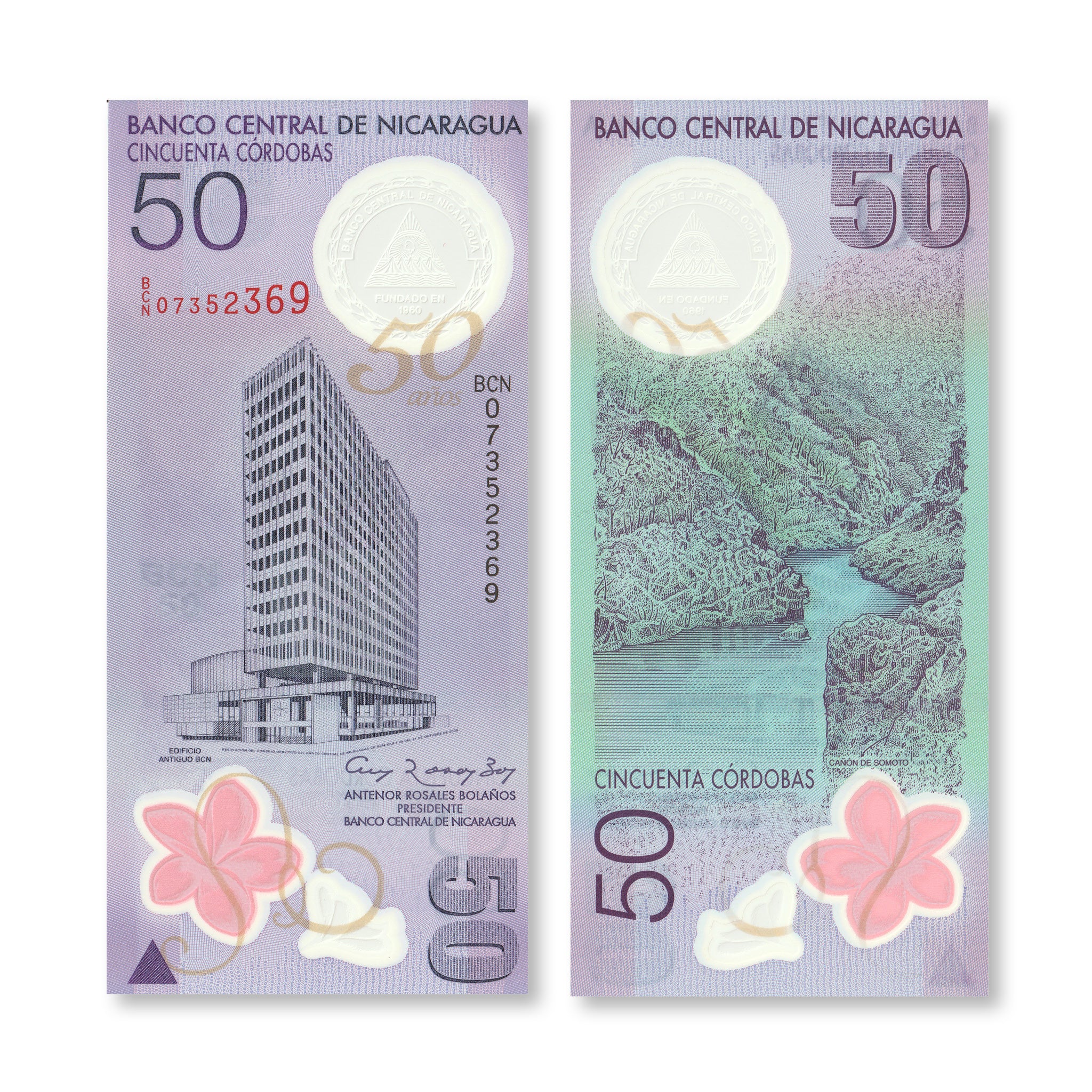 Nicaragua 50 Córdobas, 2009, B503a, P207a, UNC - Robert's World Money - World Banknotes