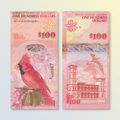 Bermuda 100 Dollars, 2009, B235b, P62, Fine (F)