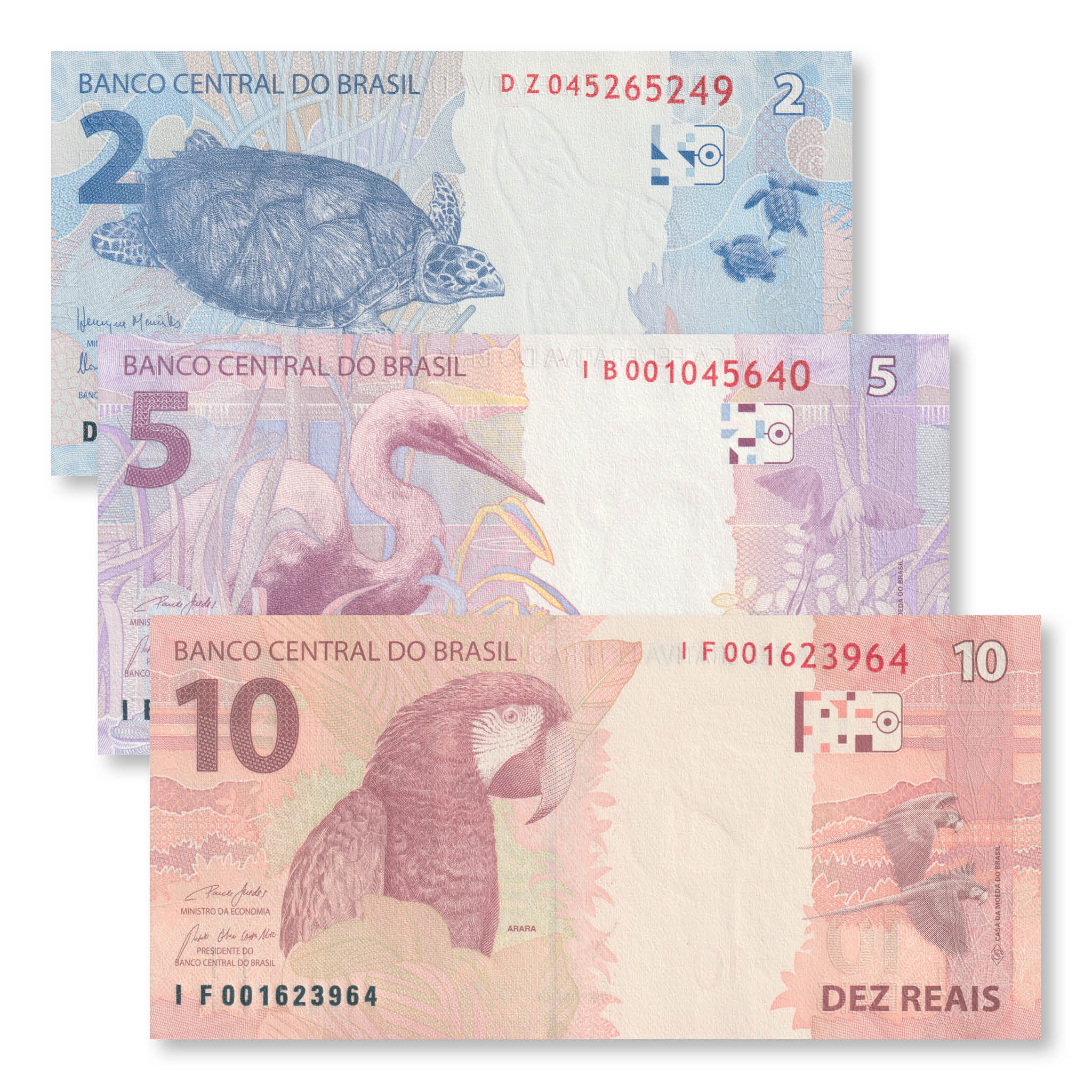 Brazil Set: 2, 5 & 10 Reais, 2010–2019, B874–B876, P252–P254, UNC - Robert's World Money - World Banknotes