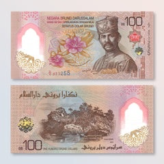 Brunei 100 Dollars, 2024 (2026), B3010a, UNC