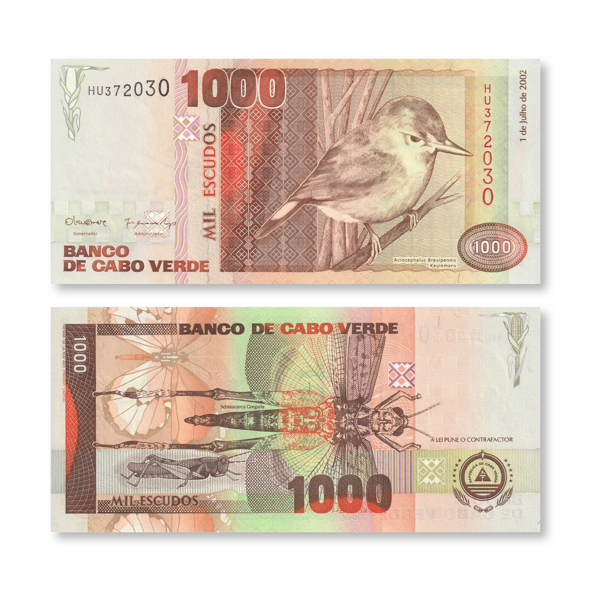 Cape Verde 1000 Escudos, 2002, B211b, P65b, UNC - Robert's World Money - World Banknotes