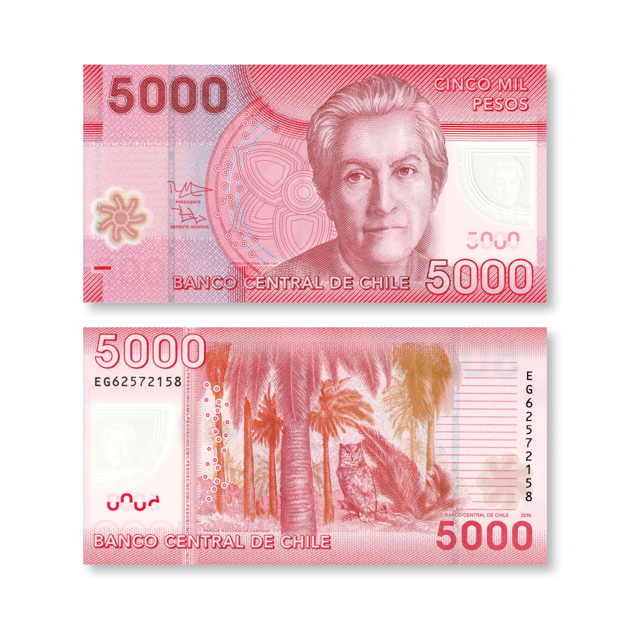 Chile 5000 Pesos, 2016, B298g, P163, UNC - Robert's World Money - World Banknotes