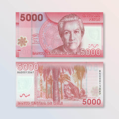 Chile 5000 Pesos, 2021, B298h, P163, UNC - Robert's World Money - World Banknotes