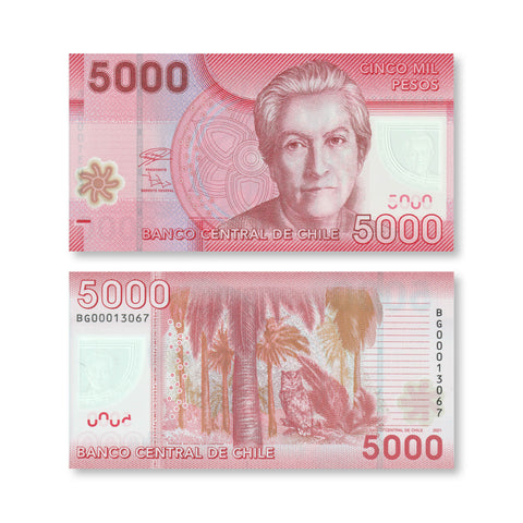Chile 5000 Pesos, 2021, B298h, P163, UNC - Robert's World Money - World Banknotes