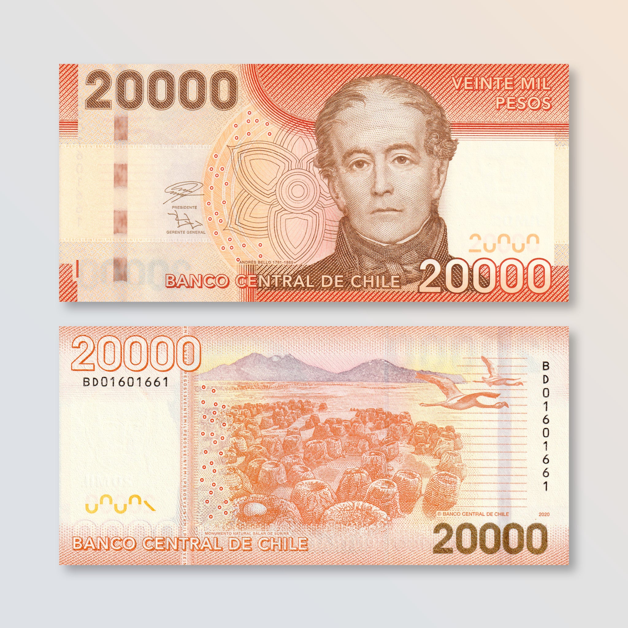 Chile 20000 Pesos, 2020, B300k, P165, UNC - Robert's World Money - World Banknotes