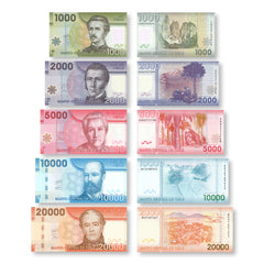 Chile Full Set: 1,000–20,000 Pesos, 2014–2022, B296–B300, P161–P165, UNC - Robert's World Money - World Banknotes
