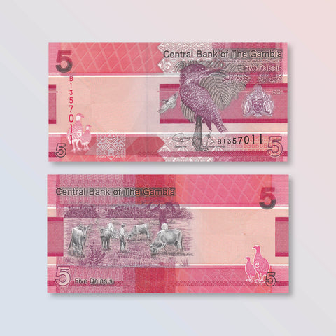 Gambia 5 Dalasis, 2019, B235a, UNC - Robert's World Money - World Banknotes