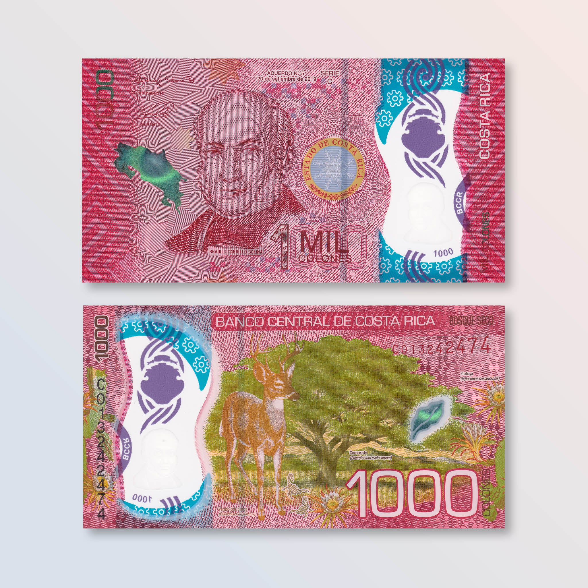 Costa Rica 1000 Colones, 2019 (2021), B564a, UNC - Robert's World Money - World Banknotes