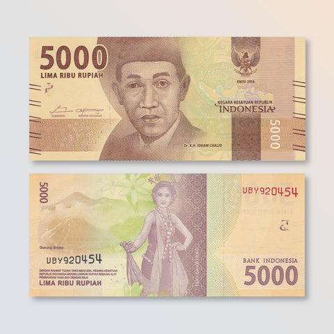Indonesia 5000 Rupiah, 2016/2017, B611b, P156b, UNC - Robert's World Money - World Banknotes