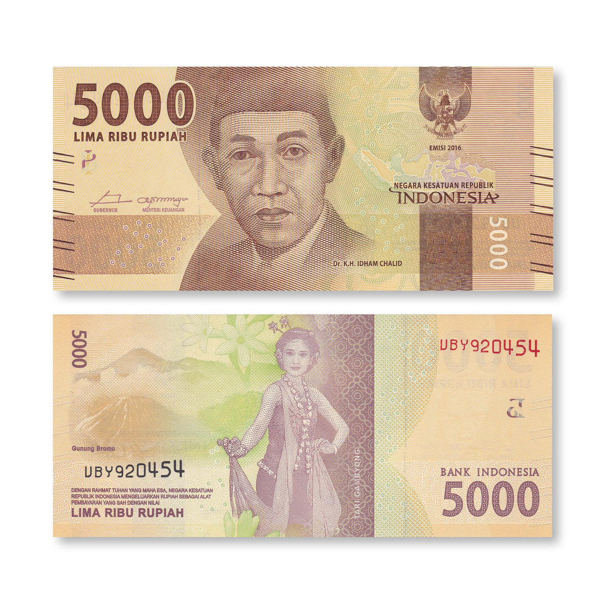 Indonesia 5000 Rupiah, 2016/2017, B611b, P156b, UNC - Robert's World Money - World Banknotes