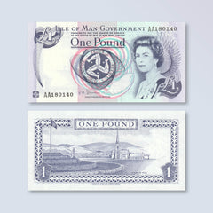 Isle of Man 1 Pound, 2009, B114c, P40c, UNC