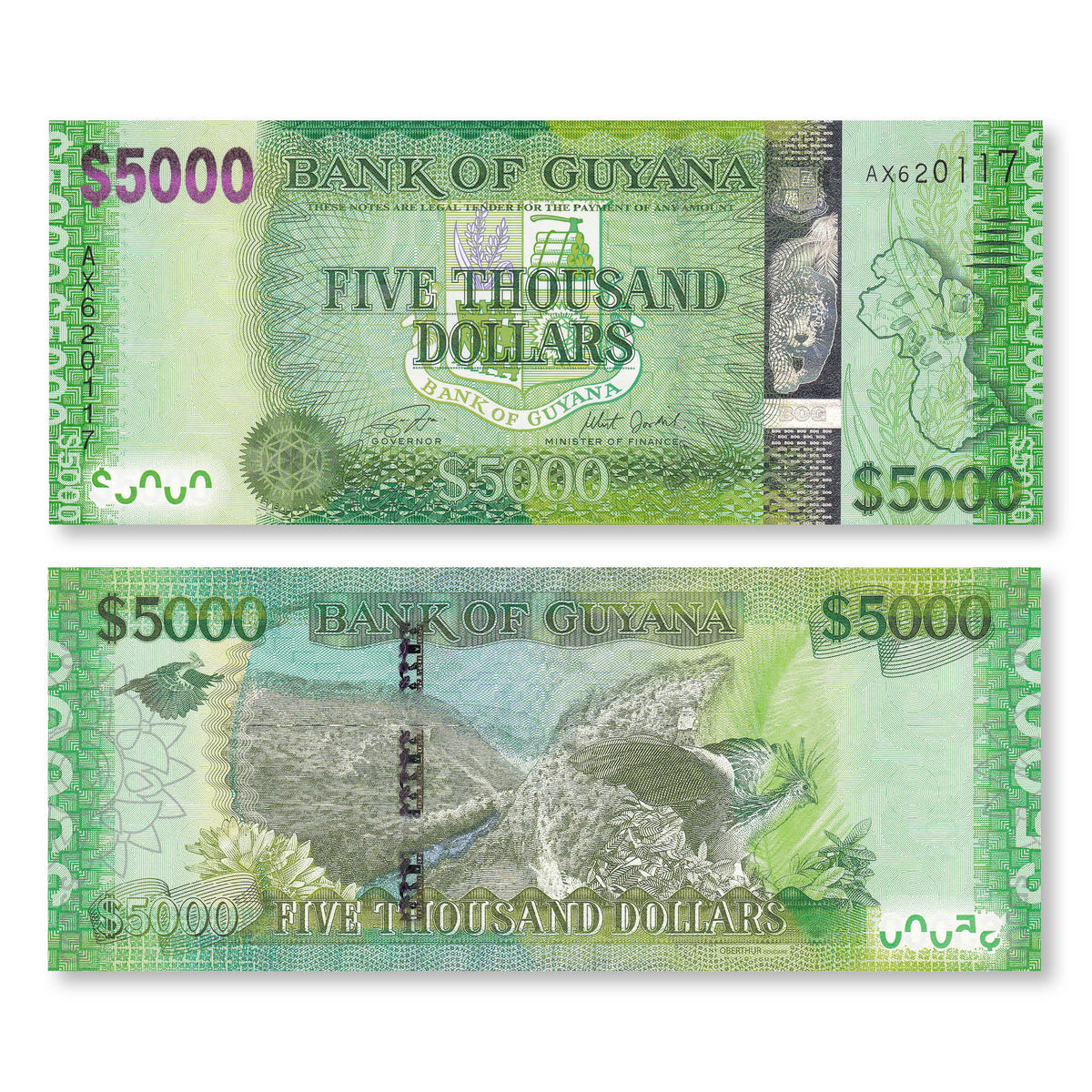 Guyana 5000 Dollars, 2018, B118b, P40, UNC - Robert's World Money - World Banknotes