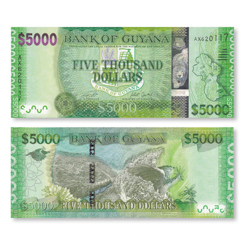 Guyana 5000 Dollars, 2018, B118b, P40, UNC - Robert's World Money - World Banknotes