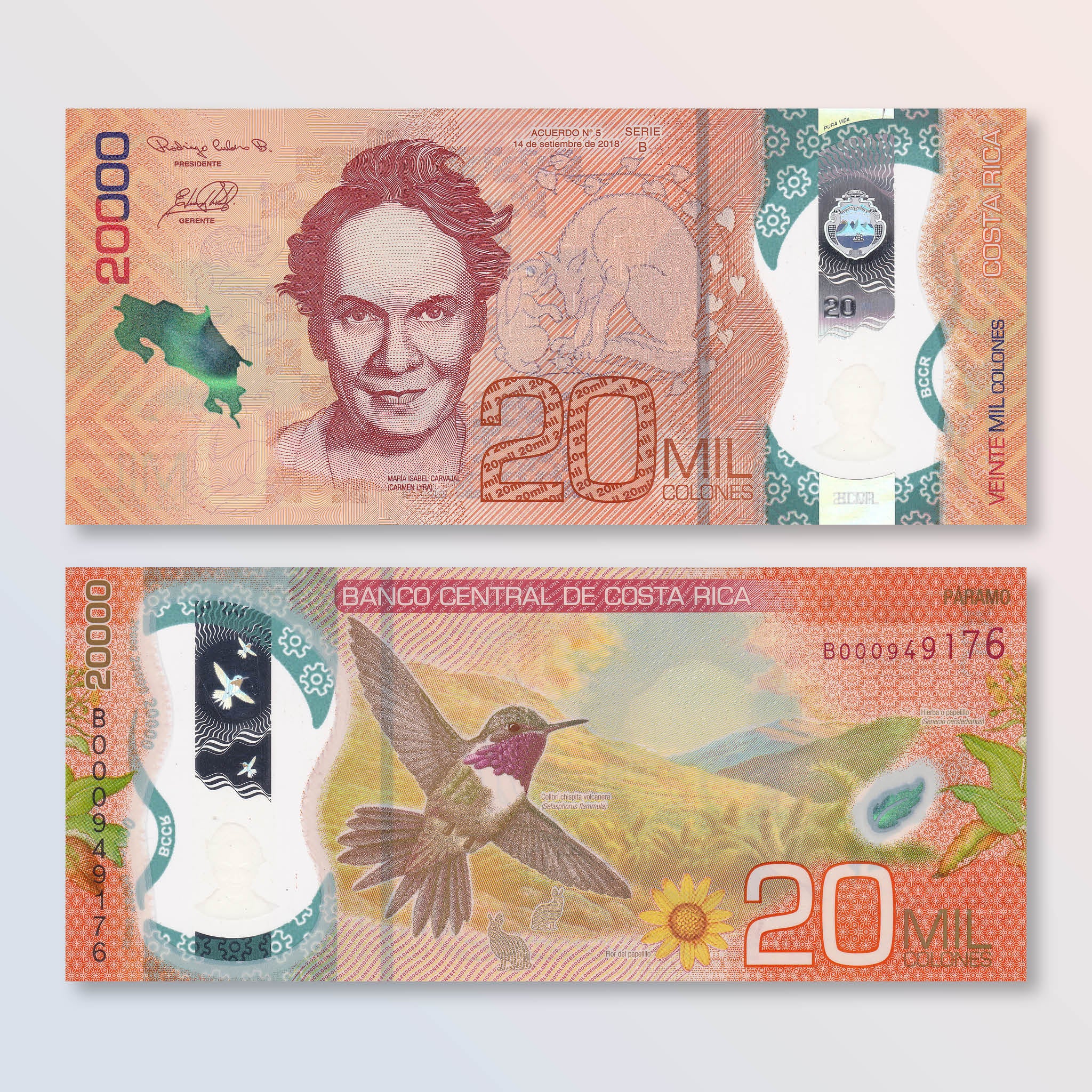 Costa Rica 20000 Colones, 2018 (2020), B568a, UNC - Robert's World Money - World Banknotes