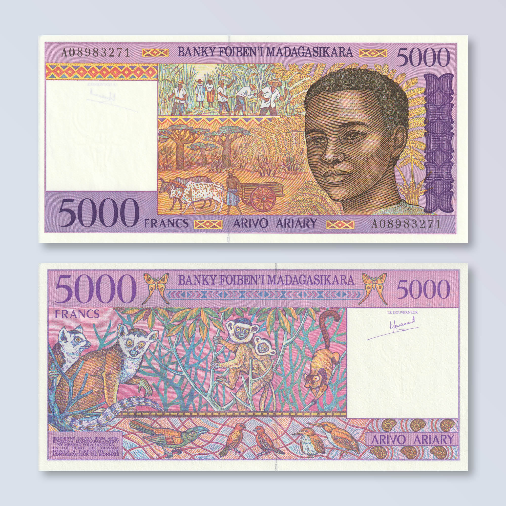 Madagascar 5000 Francs, 1995, B314a, P78a, UNC - Robert's World Money - World Banknotes