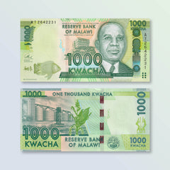 Malawi 1000 Kwacha, 2013, B155b, P62b, UNC - Robert's World Money - World Banknotes