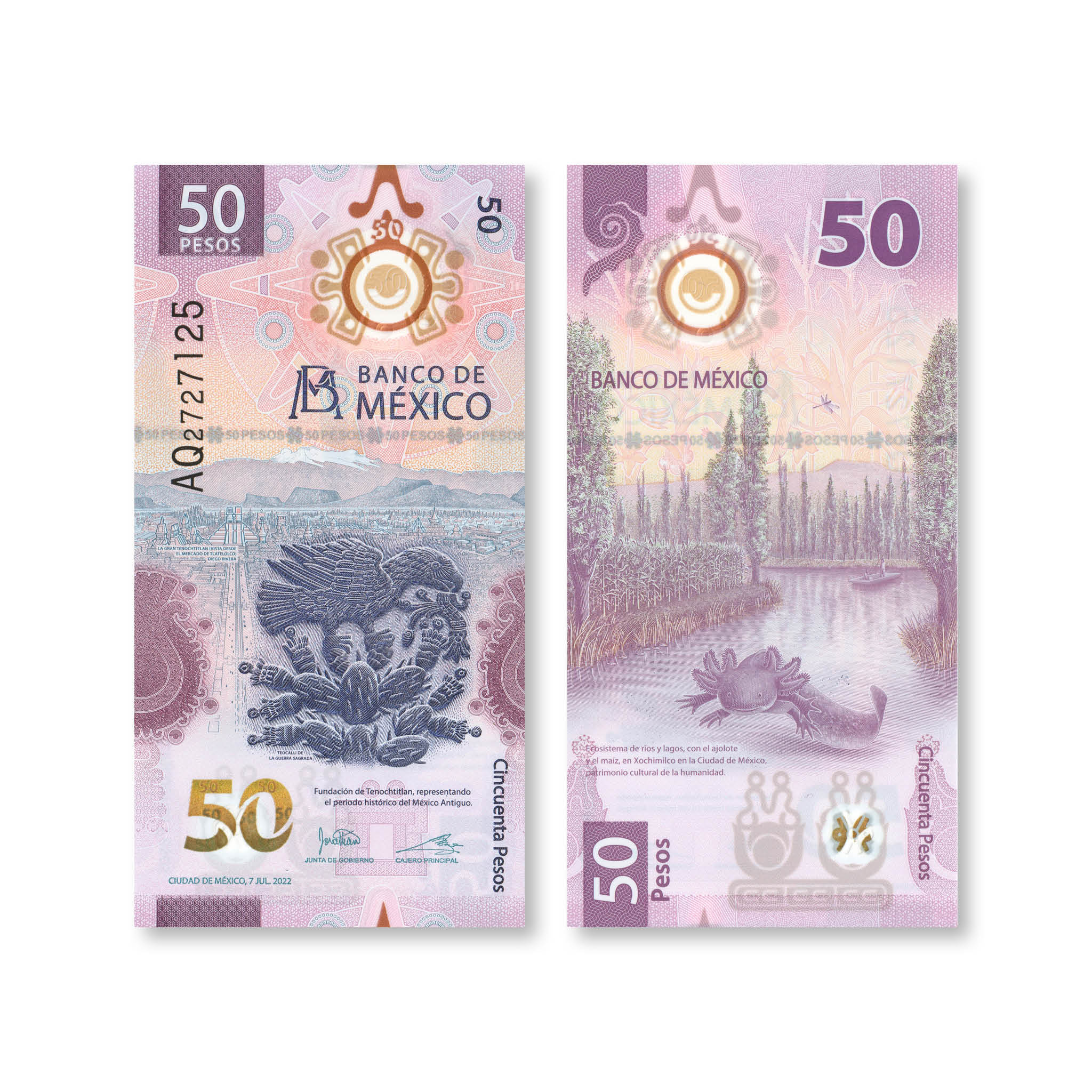 Mexico Full Set: 20–1,000 Pesos, 2019–2023, Current Familia G, UNC - Robert's World Money - World Banknotes
