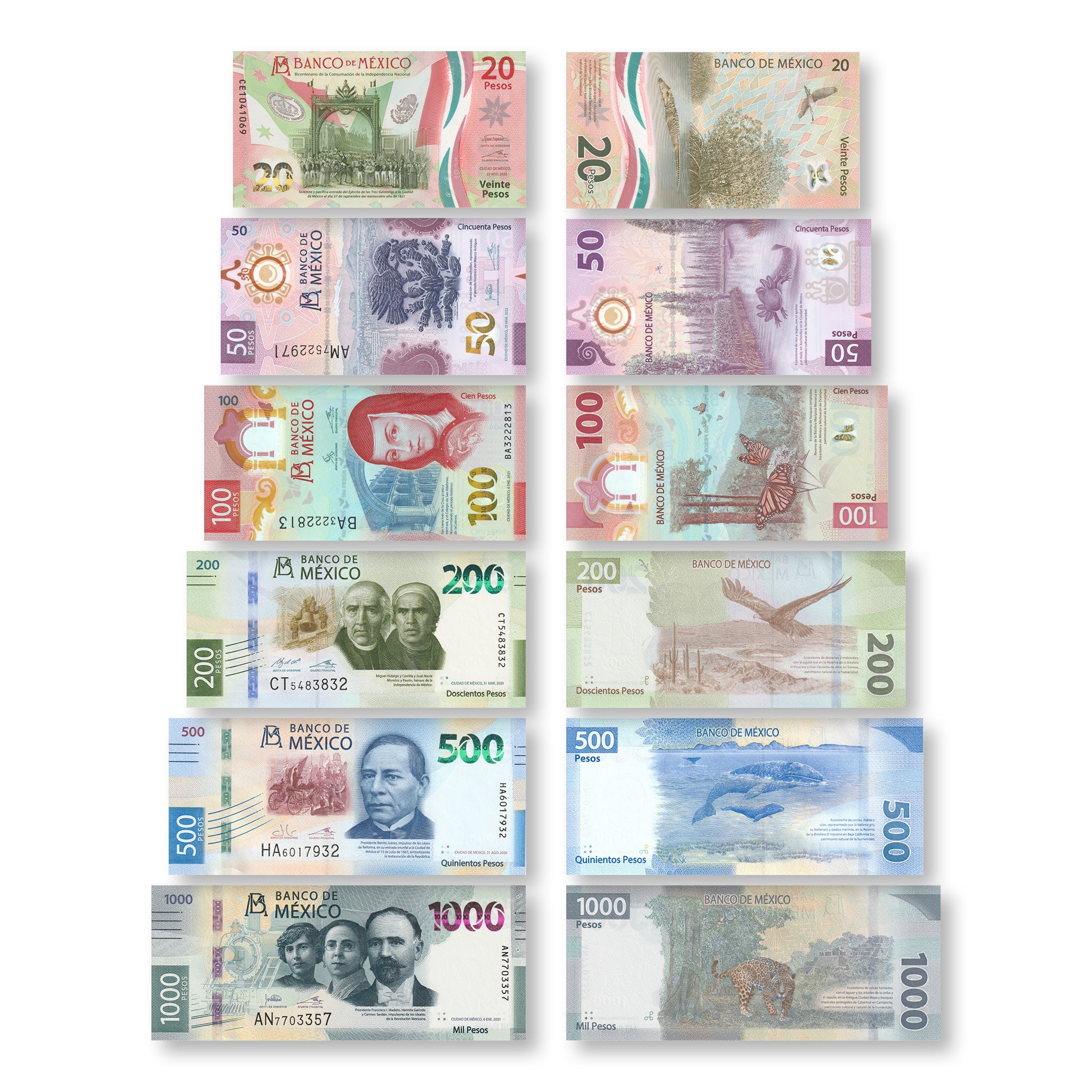 Mexico Full Set: 20–1,000 Pesos, 2019–2023, Current Familia G, UNC - Robert's World Money - World Banknotes
