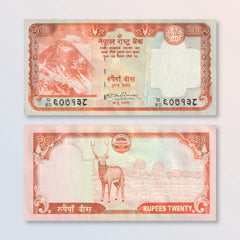 Nepal 20 Rupees, 2009, B275a, P62a, UNC