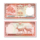 Nepal 20 Rupees, 2020, B289b, P78, UNC