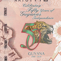 Guyana 50 Dollars, 2016, B119a, P41, UNC - Robert's World Money - World Banknotes