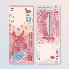 Argentina 20 Pesos, 2017, B417a, P361, UNC - Robert's World Money - World Banknotes