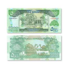 Somaliland 5,000 Shillings, 2016, B124e, P21, UNC