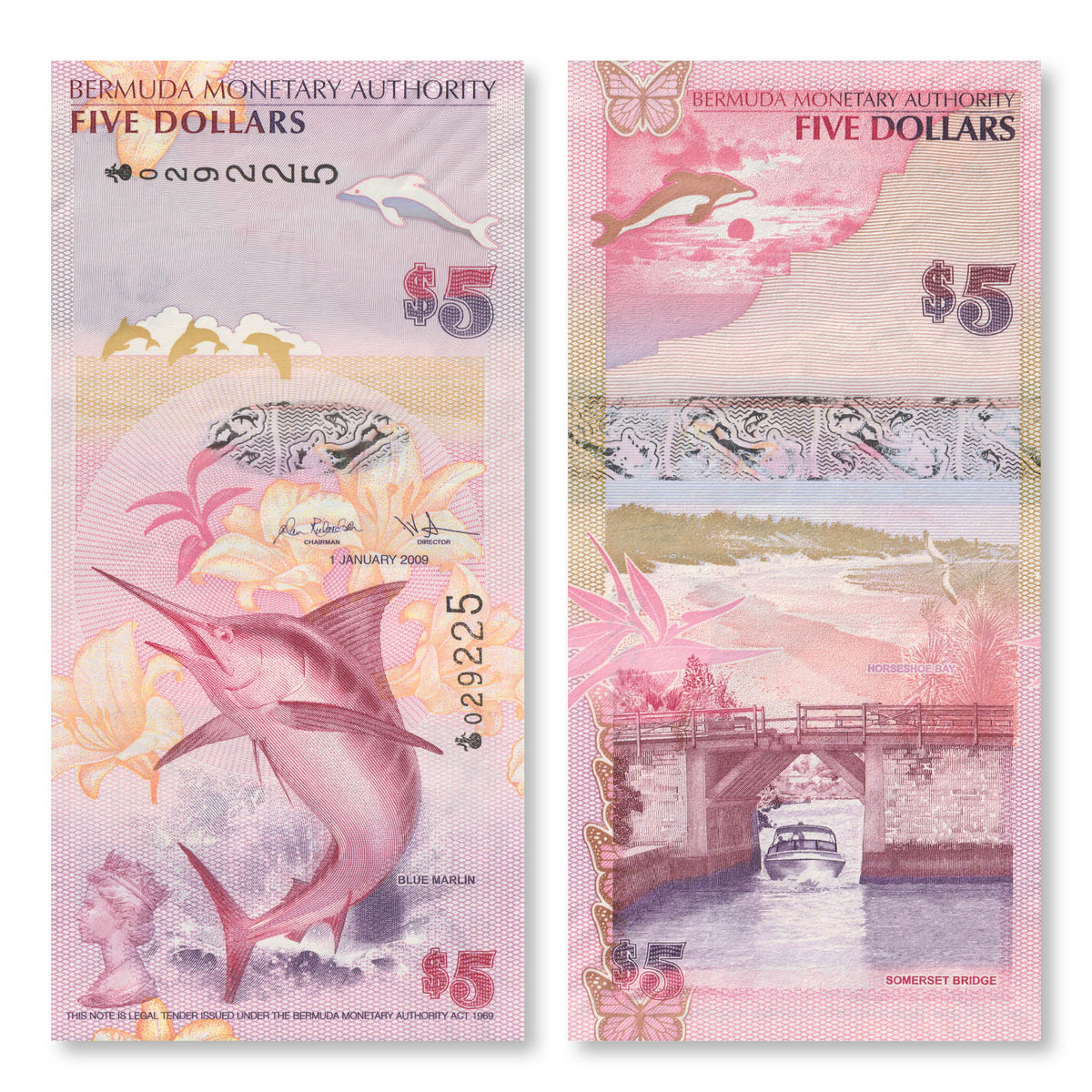 Bermuda 5 Dollars, 2009, B231a, P58a, UNC - Robert's World Money - World Banknotes