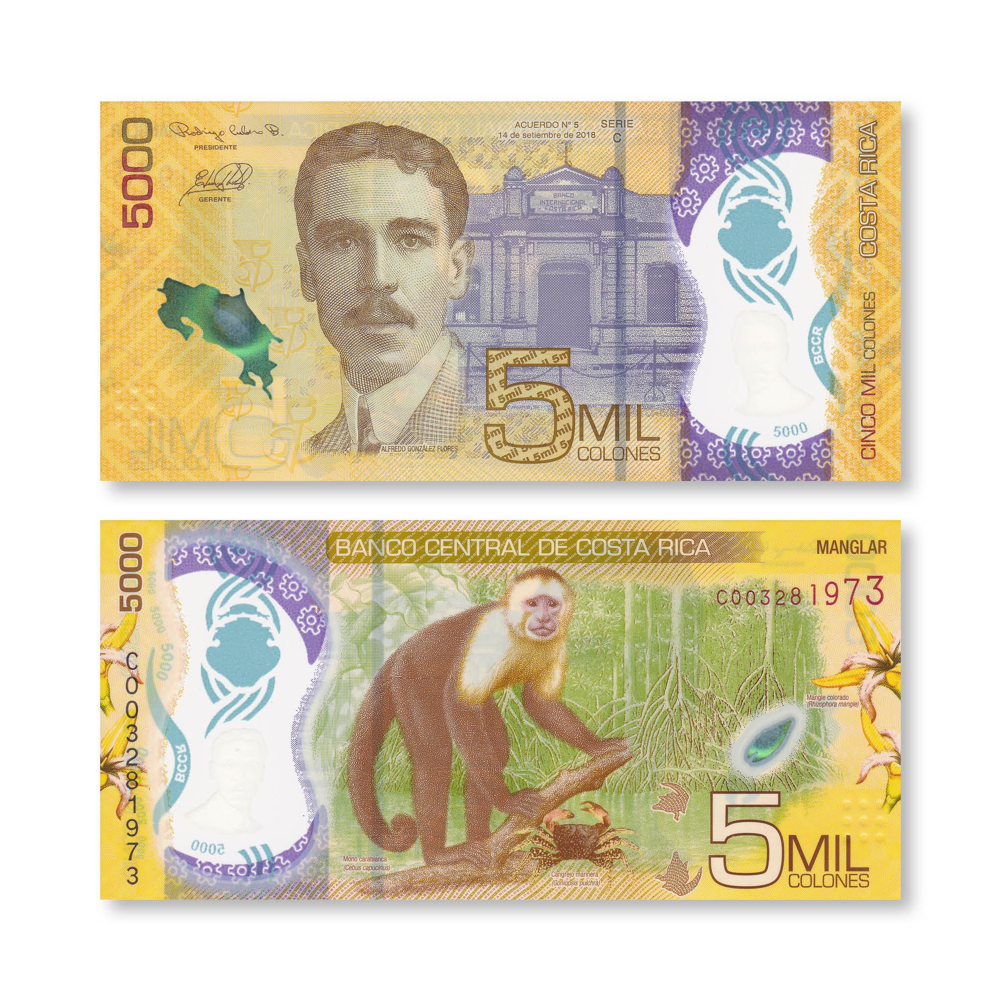 Costa Rica 5000 Colones, 2018 (2020), B566a, UNC - Robert's World Money - World Banknotes