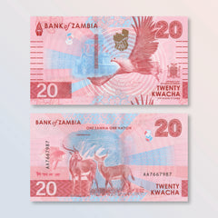 Zambia 20 Kwacha, 2024 (2025), B172a, PNL, UNC
