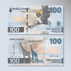 Zambia 100 Kwacha, 2024 (2025), B174a, UNC