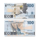 Zambia 100 Kwacha, 2024 (2025), B174a, UNC