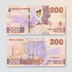 Zambia 200 Kwacha, 2024 (2025), B175a, UNC