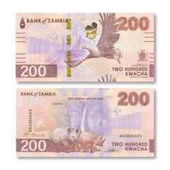 Zambia 200 Kwacha, 2024 (2025), B175a, UNC