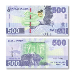 Zambia 500 Kwacha, 2024 (2025), B176a, UNC