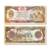 Afghanistan 1000 Afghanis, 1991, B345d1, P61c, UNC - Robert's World Money - World Banknotes
