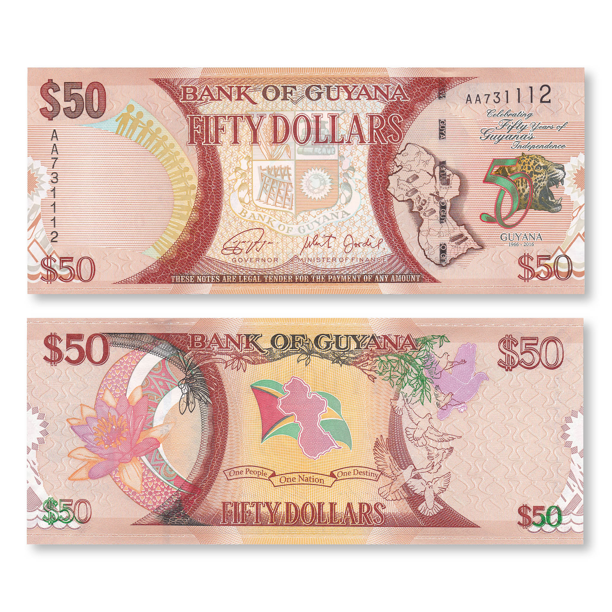 Guyana 50 Dollars, 2016, B119a, P41, UNC - Robert's World Money - World Banknotes