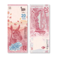 Argentina 20 Pesos, 2017, B417a, P361, UNC - Robert's World Money - World Banknotes