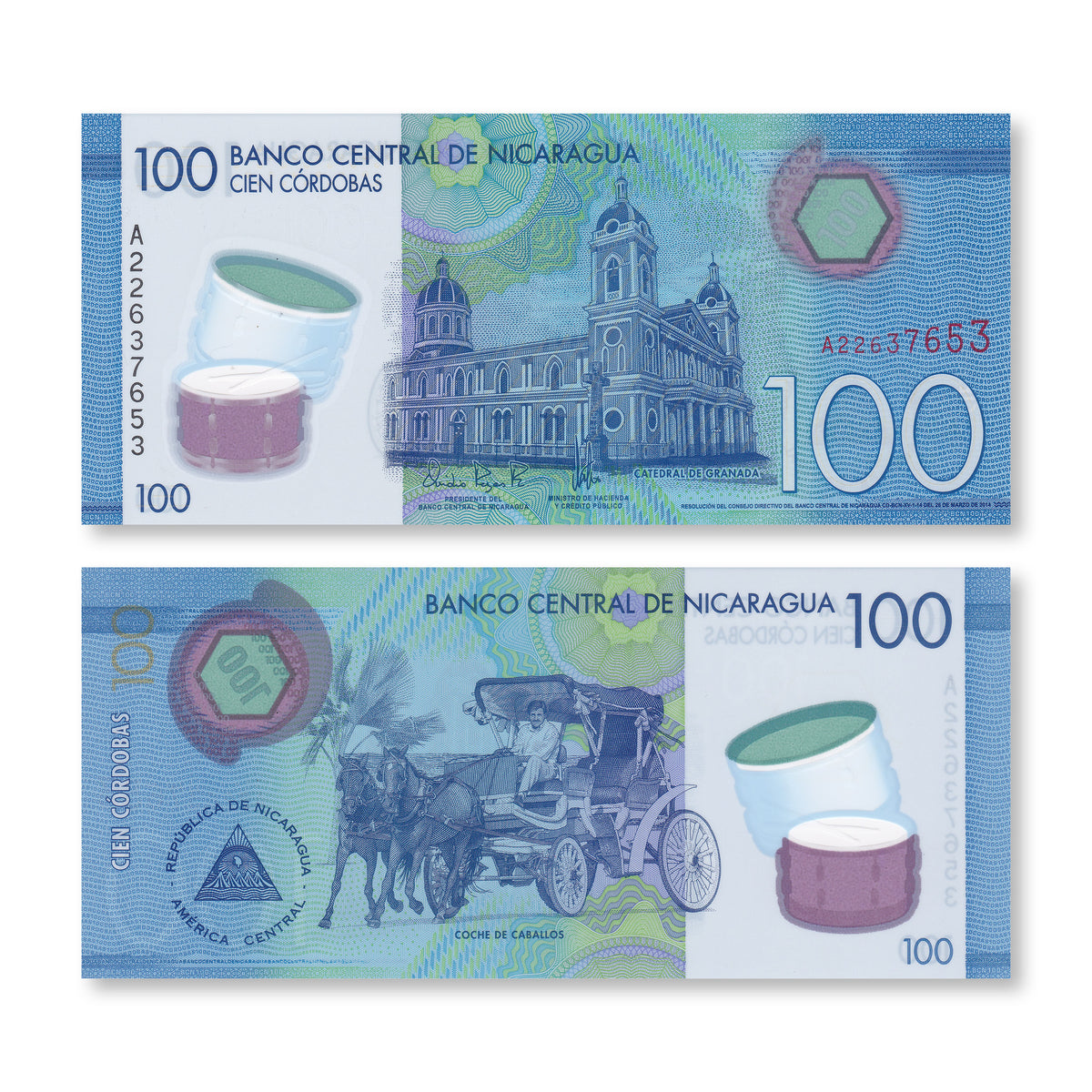 Nicaragua 100 Córdobas, 2014, B509a, P212a, UNC - Robert's World Money - World Banknotes