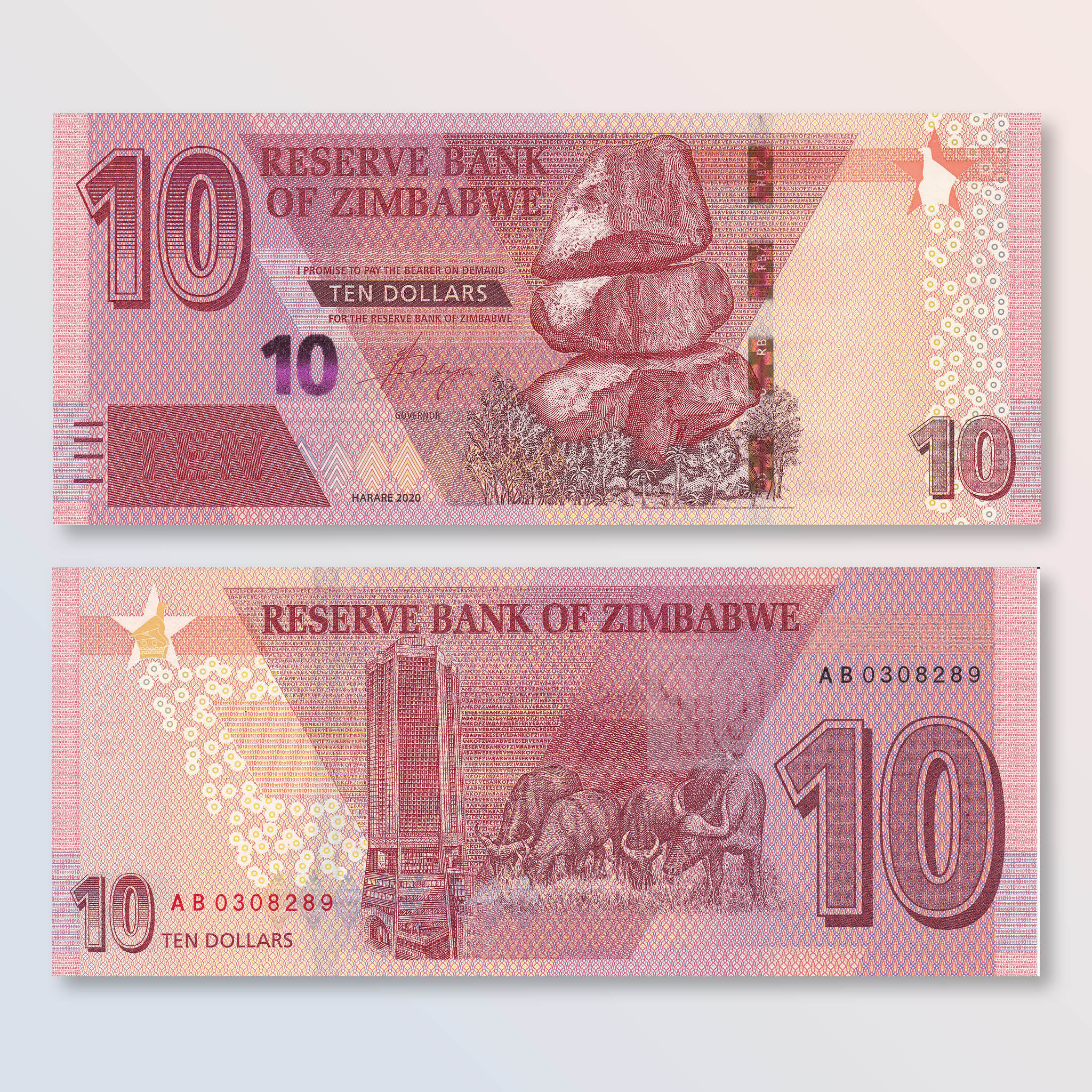 Zimbabwe 10 Dollars, 2020, B194a, UNC - Robert's World Money - World Banknotes