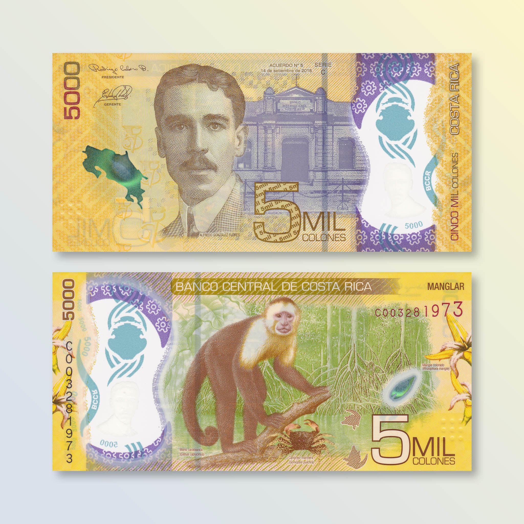 Costa Rica 5000 Colones, 2018 (2020), B566a, UNC - Robert's World Money - World Banknotes