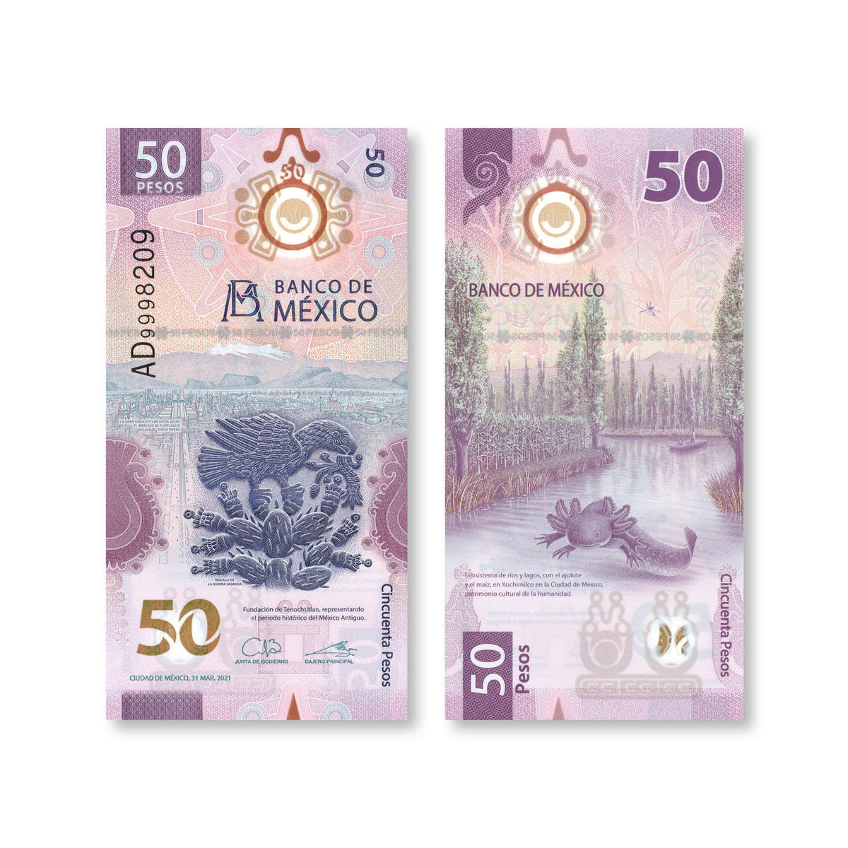 Mexico 50 Pesos, 2021, B714a, IBNS Banknote of the Year 2021, UNC - Robert's World Money - World Banknotes