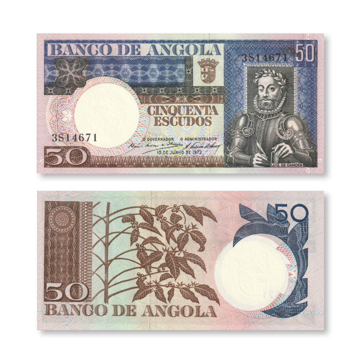 Angola 50 Escudos, 1973, B429a, P105a, UNC - Robert's World Money - World Banknotes