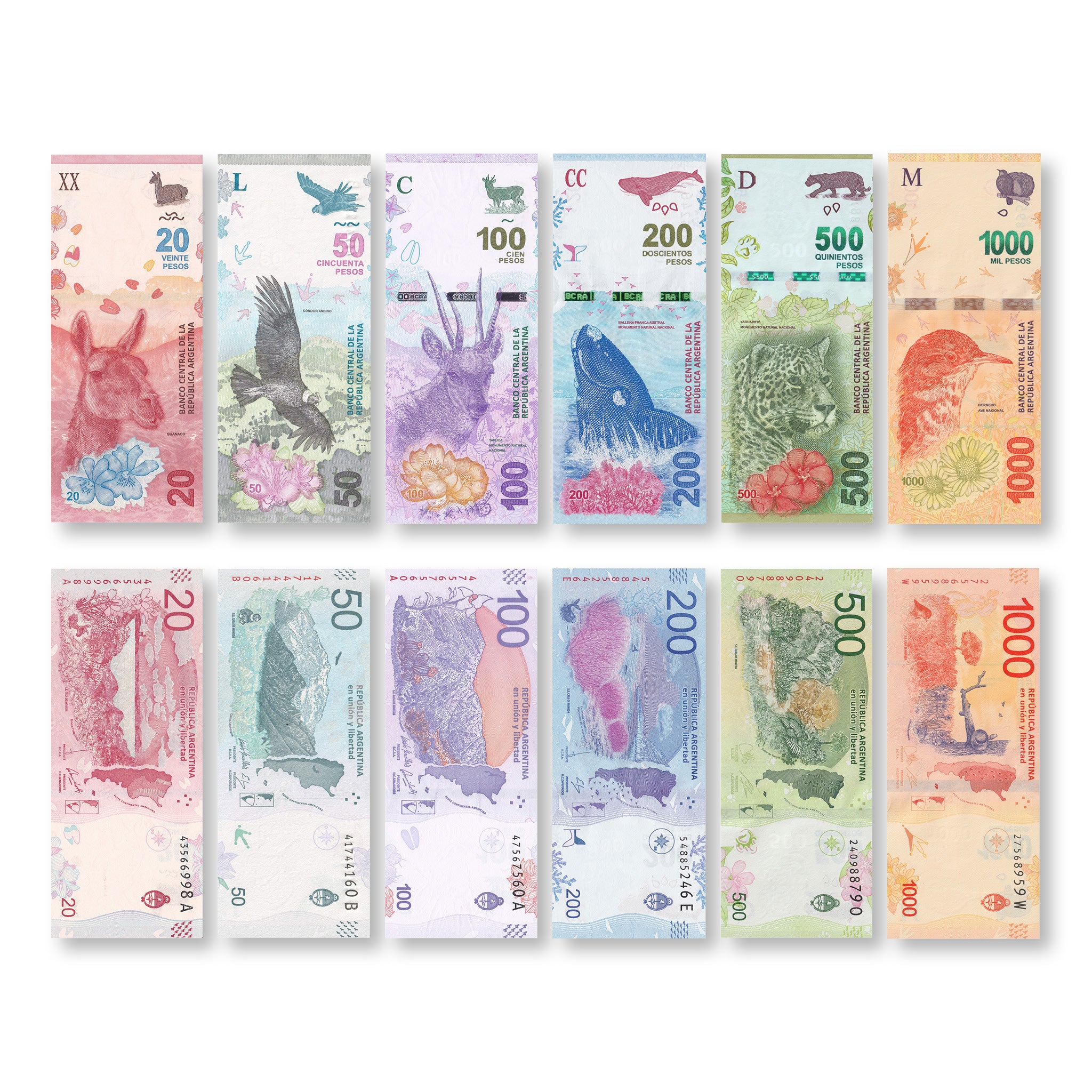 Argentina Full Set: 20–1,000 Pesos, 2017+, UNC - Robert's World Money - World Banknotes