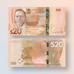 Belize 20 Dollars, 2025, B334a, UNC