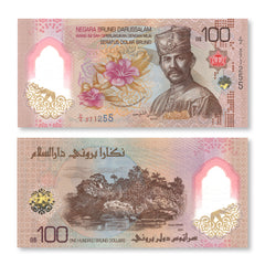 Brunei 100 Dollars, 2024 (2026), B3010a, UNC