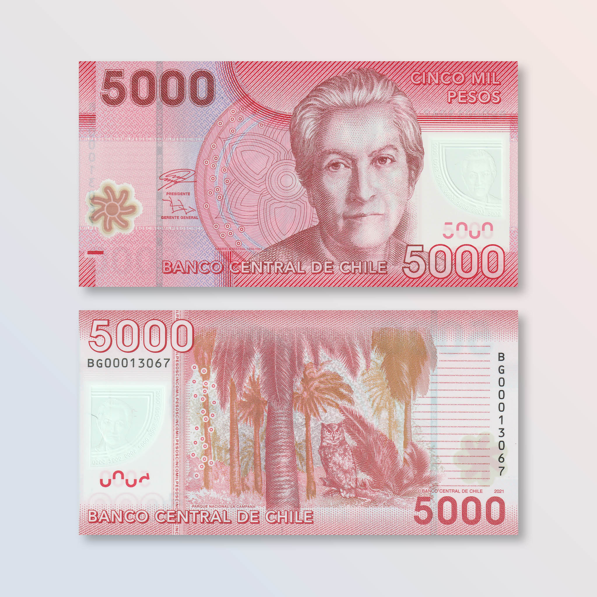 Chile 5000 Pesos, 2021, B298h, P163, UNC - Robert's World Money - World Banknotes