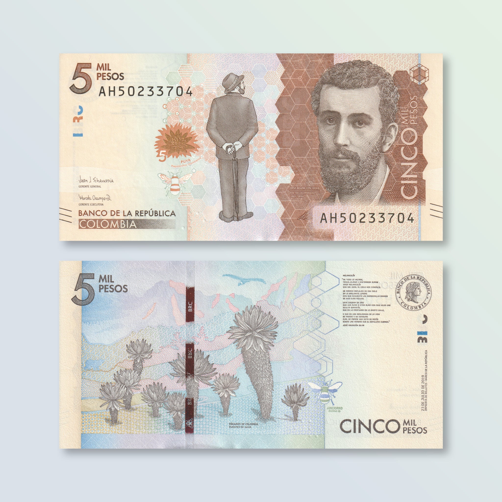 Colombia 5000 Pesos, 2019, B994e, P459, UNC - Robert's World Money - World Banknotes