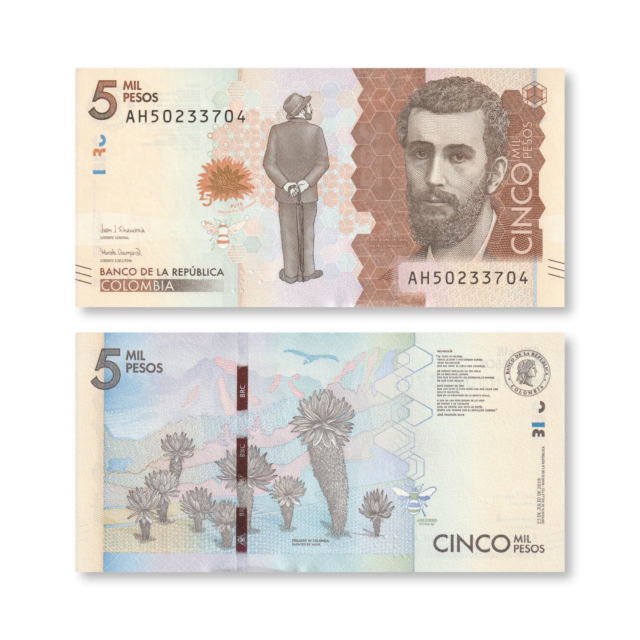 Colombia 5000 Pesos, 2019, B994e, P459, UNC - Robert's World Money - World Banknotes