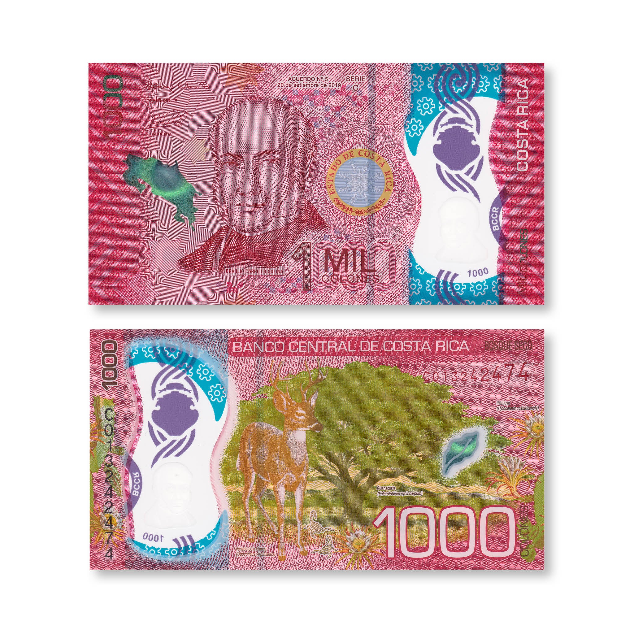 Costa Rica Full Set: 1,000–20,000 Colones, 2018–2021, B564-B568, UNC - Robert's World Money - World Banknotes